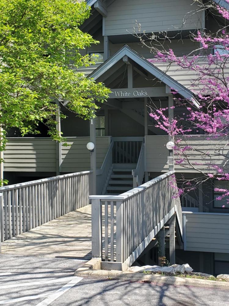 Treehouse Condos - Branson